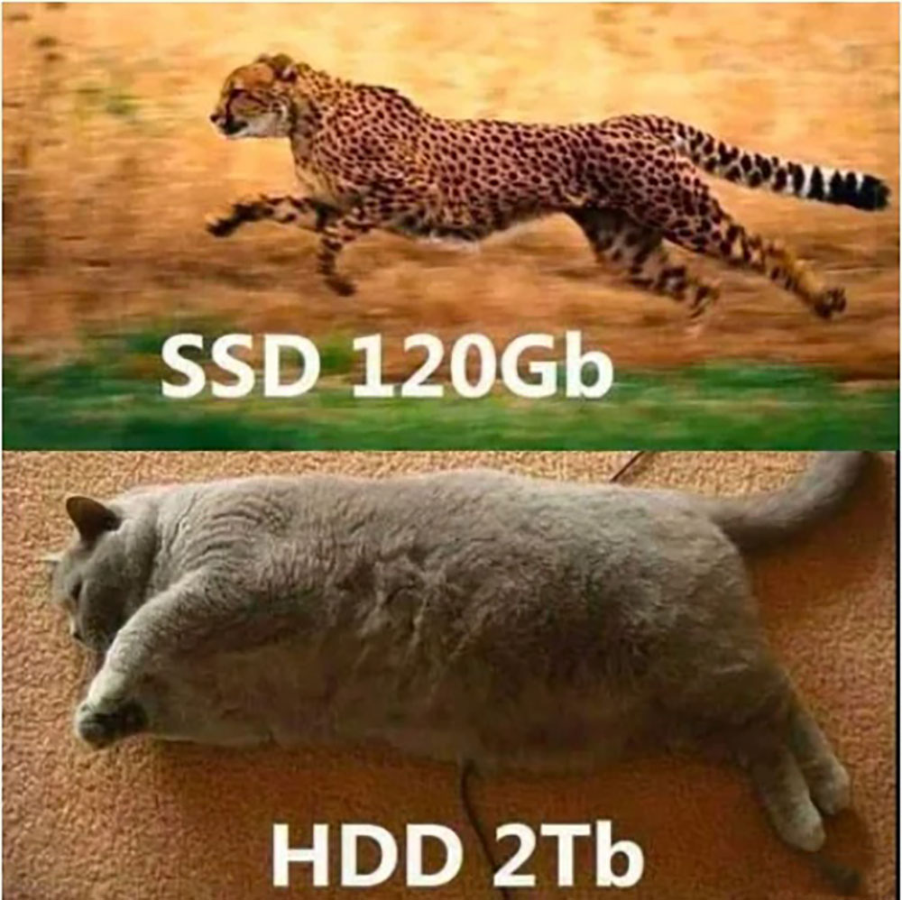SSD гепард, HDD ленивый кот