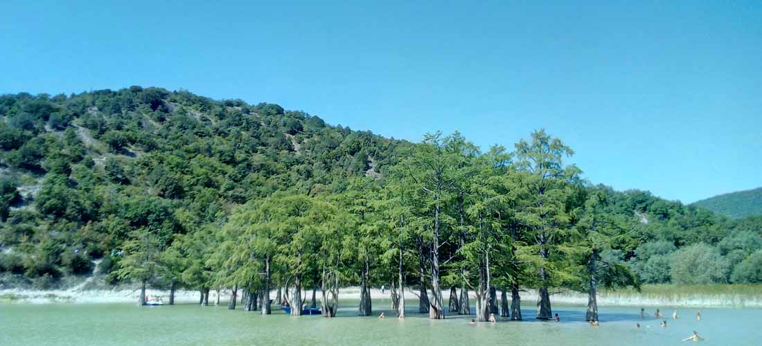 Кипарисовое озеро в Поселке Сукко