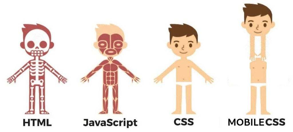 HTML JavaScript CSS MobailCSS